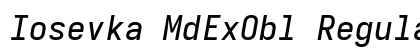 Iosevka MdExObl Regular preview