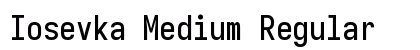 Iosevka Medium Regular preview