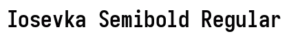 Iosevka Semibold Regular preview