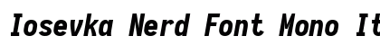 Iosevka Nerd Font Mono Italic preview