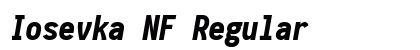 Iosevka NF Regular Preview