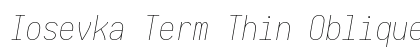 Iosevka Term Thin Oblique Regular preview