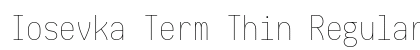 Iosevka Term Thin Regular preview