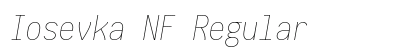 Iosevka NF Regular Preview