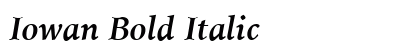 Iowan Bold Italic Preview