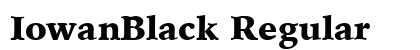 IowanBlack Regular preview