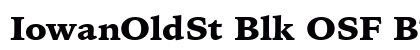 IowanOldSt Blk OSF BT Black preview