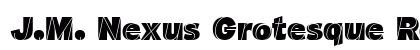 J.M. Nexus Grotesque Regular preview