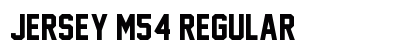 Jersey M54 Regular preview
