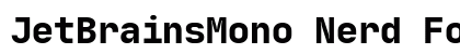 JetBrainsMono Nerd Font Regular preview