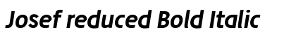 Josef reduced Bold Italic Preview