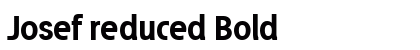 Josef reduced Bold preview