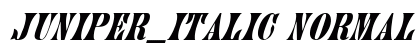 Juniper_Italic Normal preview