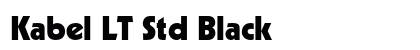 Kabel LT Std Black preview