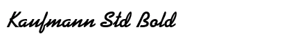 Kaufmann Std Bold preview