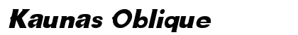 Kaunas Oblique preview