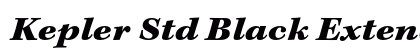 Kepler Std Black Extended Italic Caption Preview