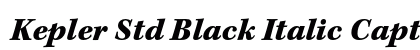 Kepler Std Black Italic Caption Preview