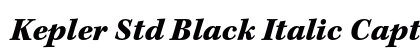Kepler Std Black Italic Caption Preview
