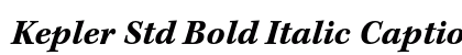 Kepler Std Bold Italic Caption Preview
