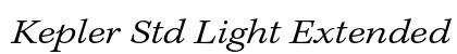 Kepler Std Light Extended Italic Caption Preview