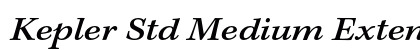 Kepler Std Medium Extended Italic Caption Preview
