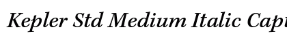 Kepler Std Medium Italic Caption Preview