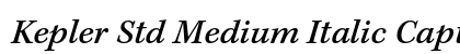 Kepler Std Medium Italic Caption Preview
