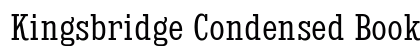 Kingsbridge Condensed Book Preview