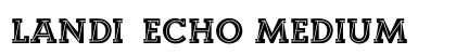 Landi_Echo Medium preview