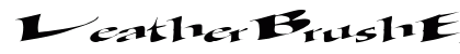 LeatherBrushExt24 Regular Preview