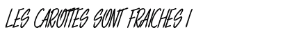 LES CAROTTES SONT FRAICHES Italic preview