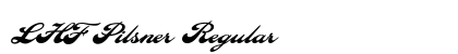 LHF Pilsner Regular preview