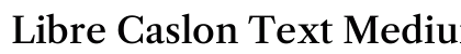 Libre Caslon Text Medium Regular preview