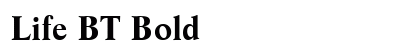 Life BT Bold preview