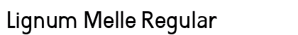 Lignum Melle Regular preview