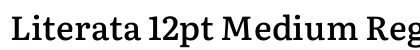 Literata 12pt Medium Regular Preview