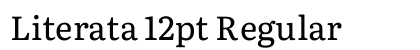 Literata 12pt Regular Preview