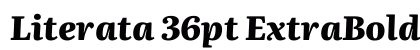 Literata 36pt ExtraBold Italic preview