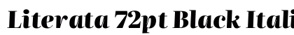 Literata 72pt Black Italic preview