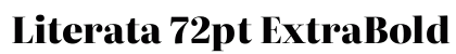 Literata 72pt ExtraBold Regular Preview