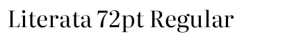 Literata 72pt Regular Preview