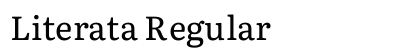 Literata Regular Preview