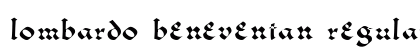 Lombardo Beneventan Regular preview