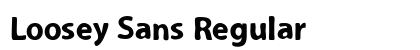Loosey Sans Regular preview