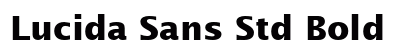 Lucida Sans Std Bold preview