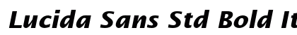Lucida Sans Std Bold Italic Preview