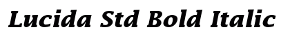 Lucida Std Bold Italic Preview