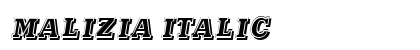 Malizia Italic Preview