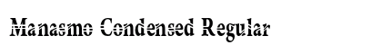 Manasmo Condensed Regular Preview